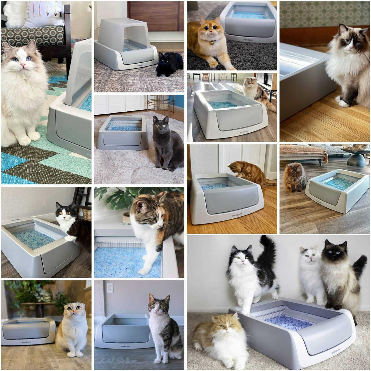 Self-Cleaning Cat Litter Box J62756