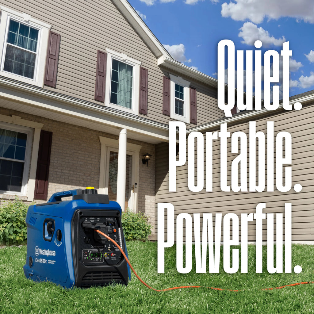 Gas Powered Portable Inverter Generator with CO Sensor P8650