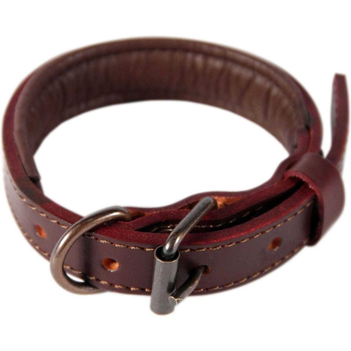 Padded Full Grain Genuine Leather Dog Collar T32856