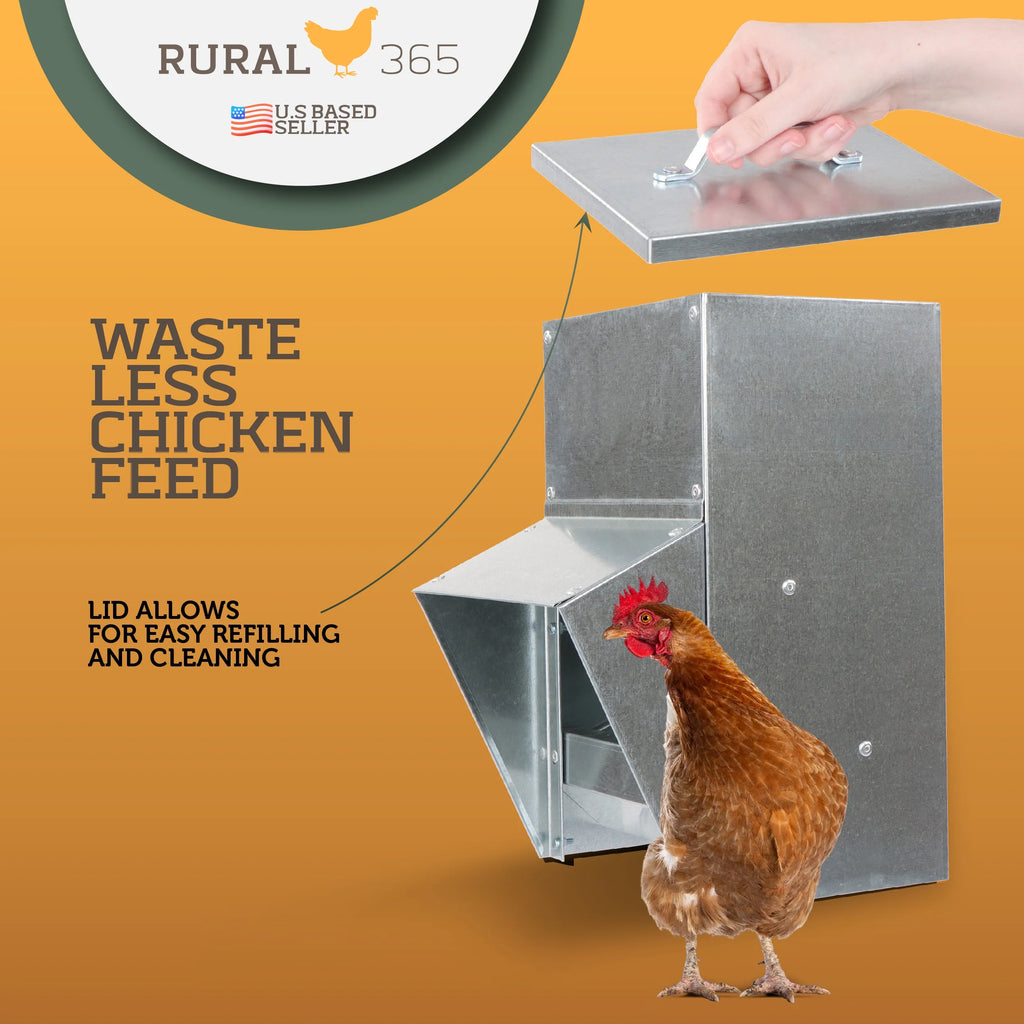 Galvanized Chicken Feeder P26971
