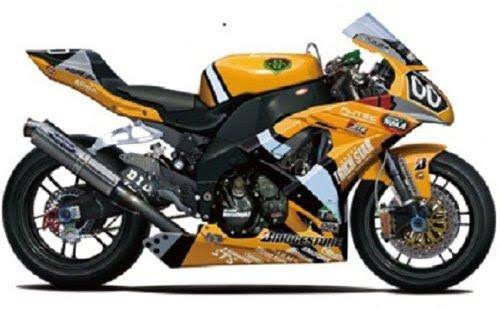 1/12 Kawasaki ZX-10R 2010 Bike L266384