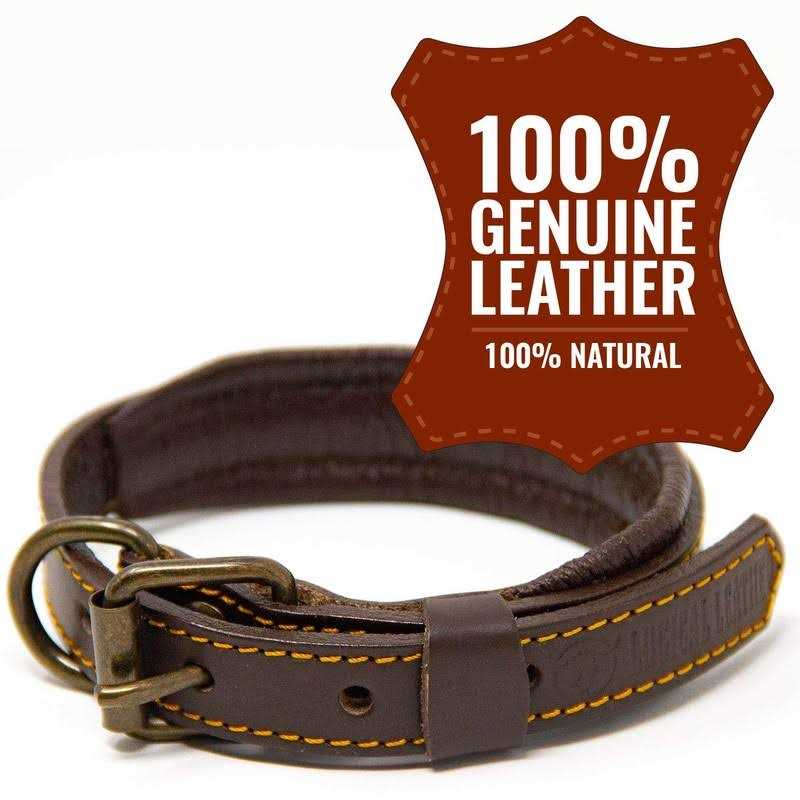 Padded Full Grain Genuine Leather Dog Collar T32856