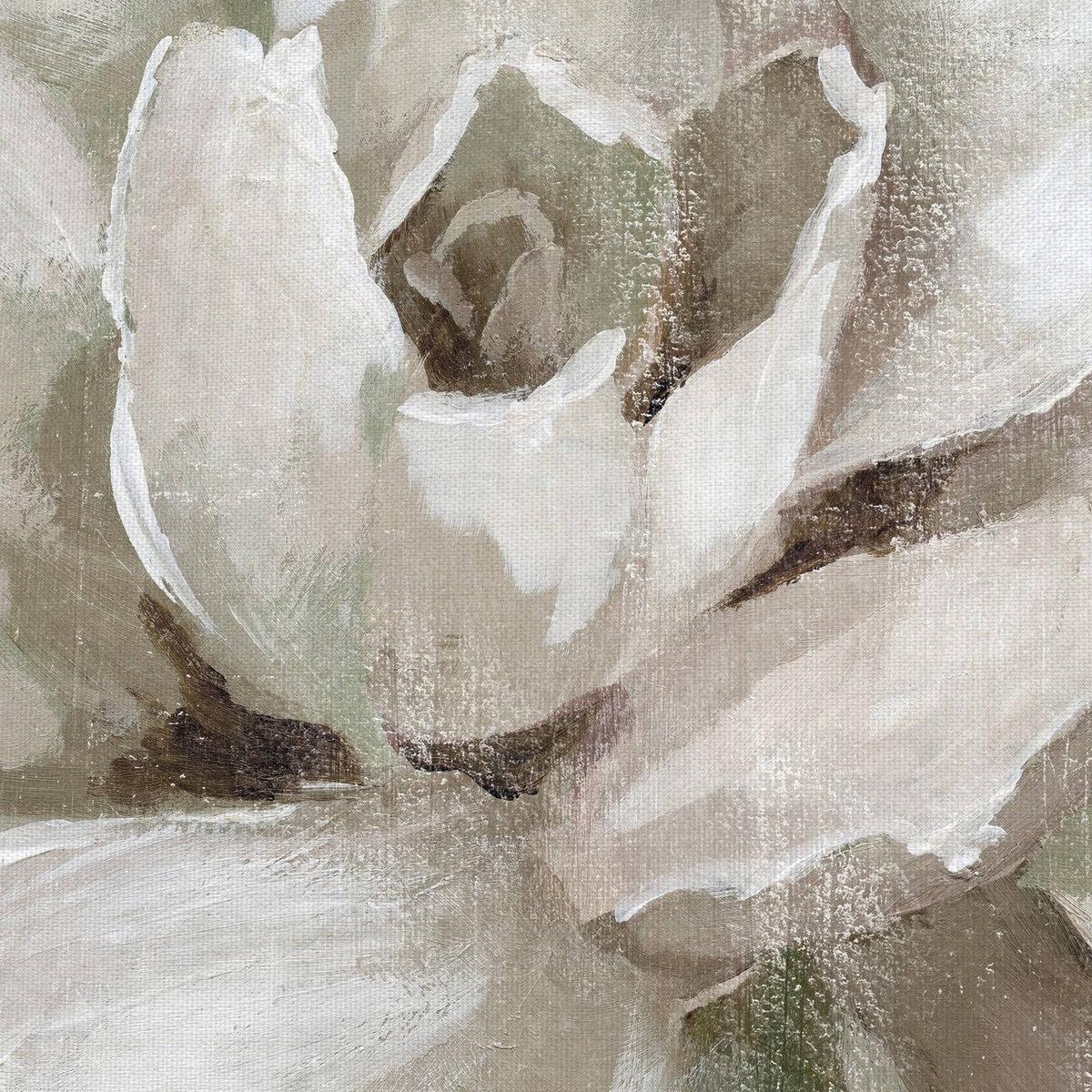 Succulent Canvas Art 30x30 Q63441