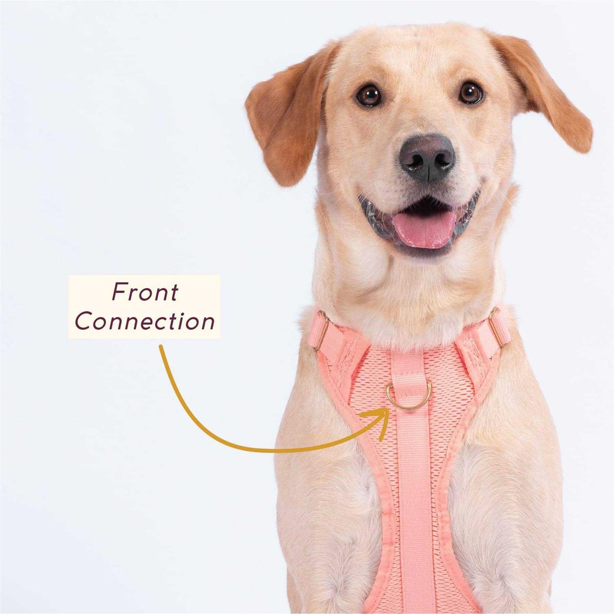 Huggie Harness J49006