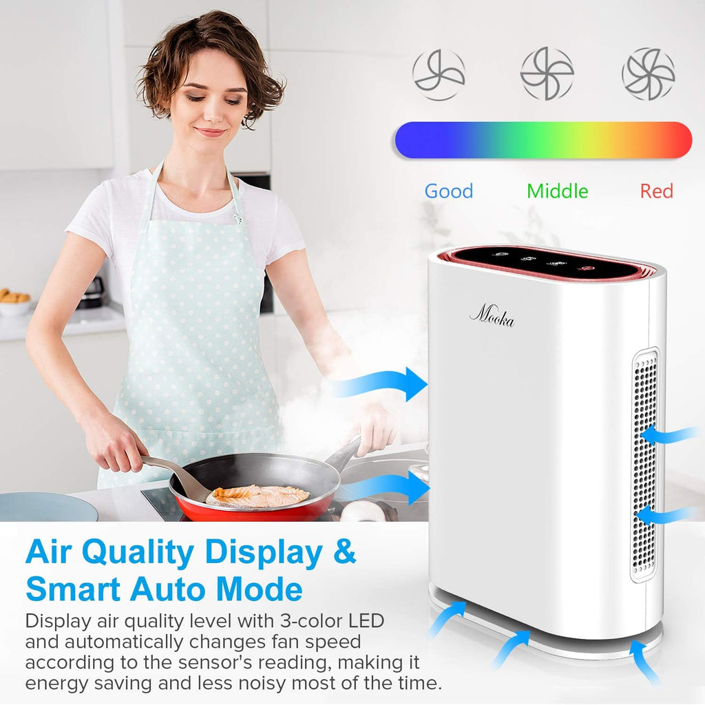 HEPA Air Purifier with Activated Carbon Filter Y18431