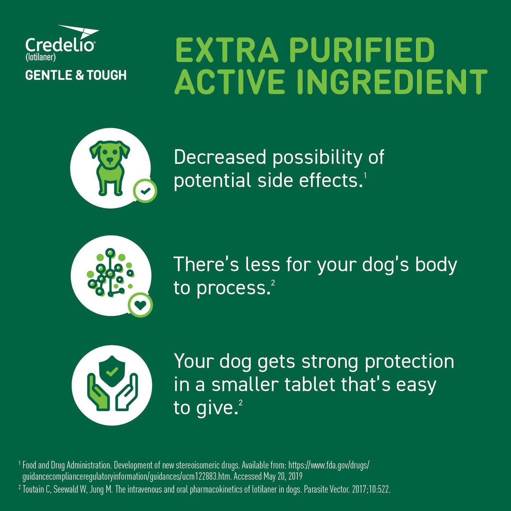 Chewable Tablet for Dogs R428