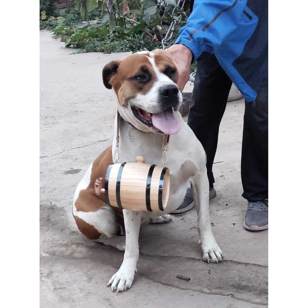 Saint Bernard Barrel Collar 1/2 Liter Size J64030