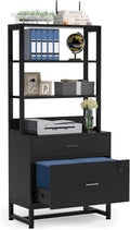 2 Drawer Lateral File Cabinet with Lock, Letter Size, Dark Brown N75984