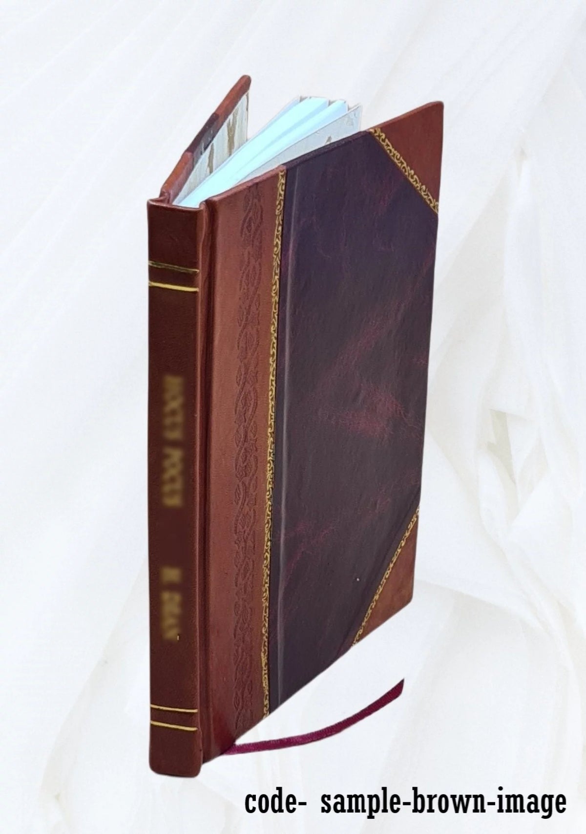 Architecture in Australia Leather Bound Y416