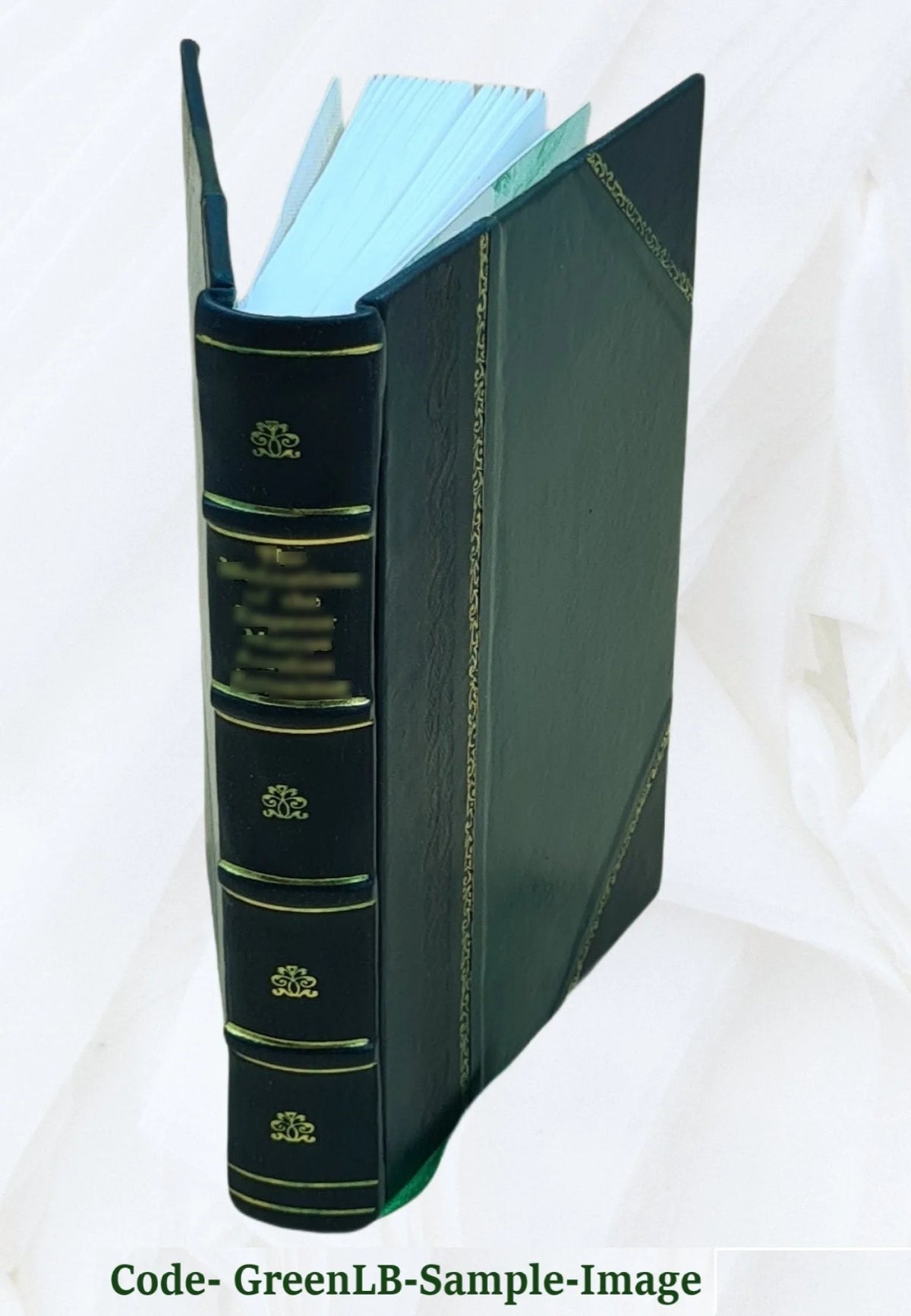 Leather Bound Book L740