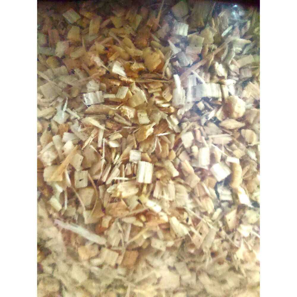 Repti Chips B890172