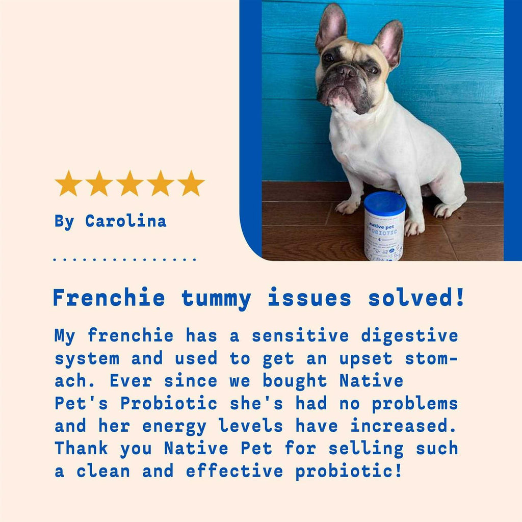 Probiotic Powder for Dogs B399