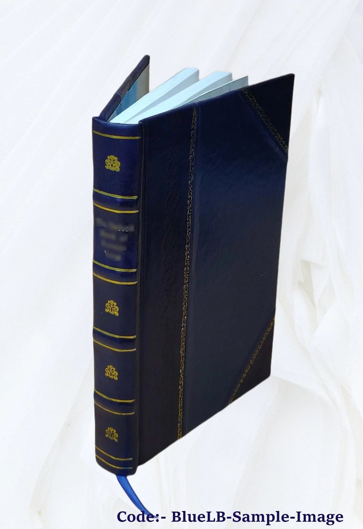 Les habitants du monde invisible, ou Les purs esprits, les anges déchus et les possédés, histoire récente dont les faits surnaturels sont démontrés 1850 [Leather Bound] N747