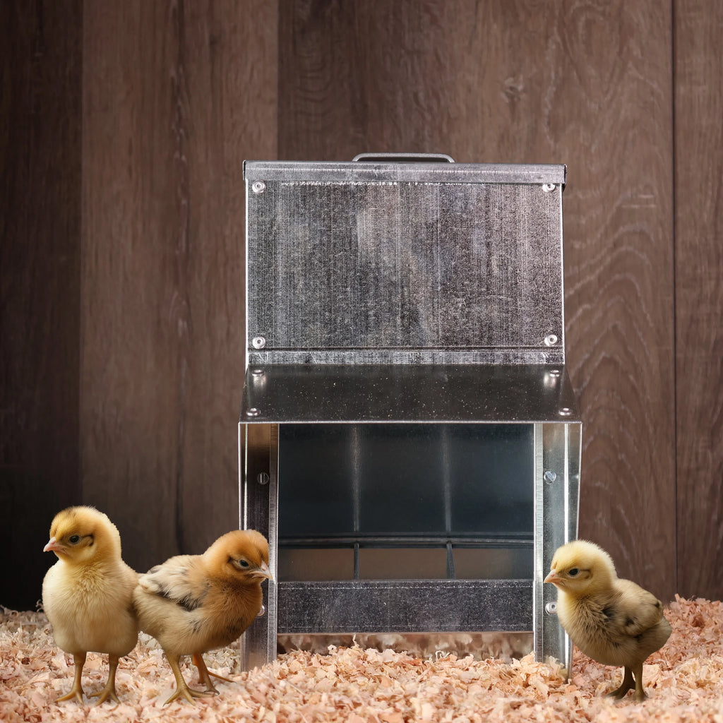 Galvanized Chicken Feeder P26971