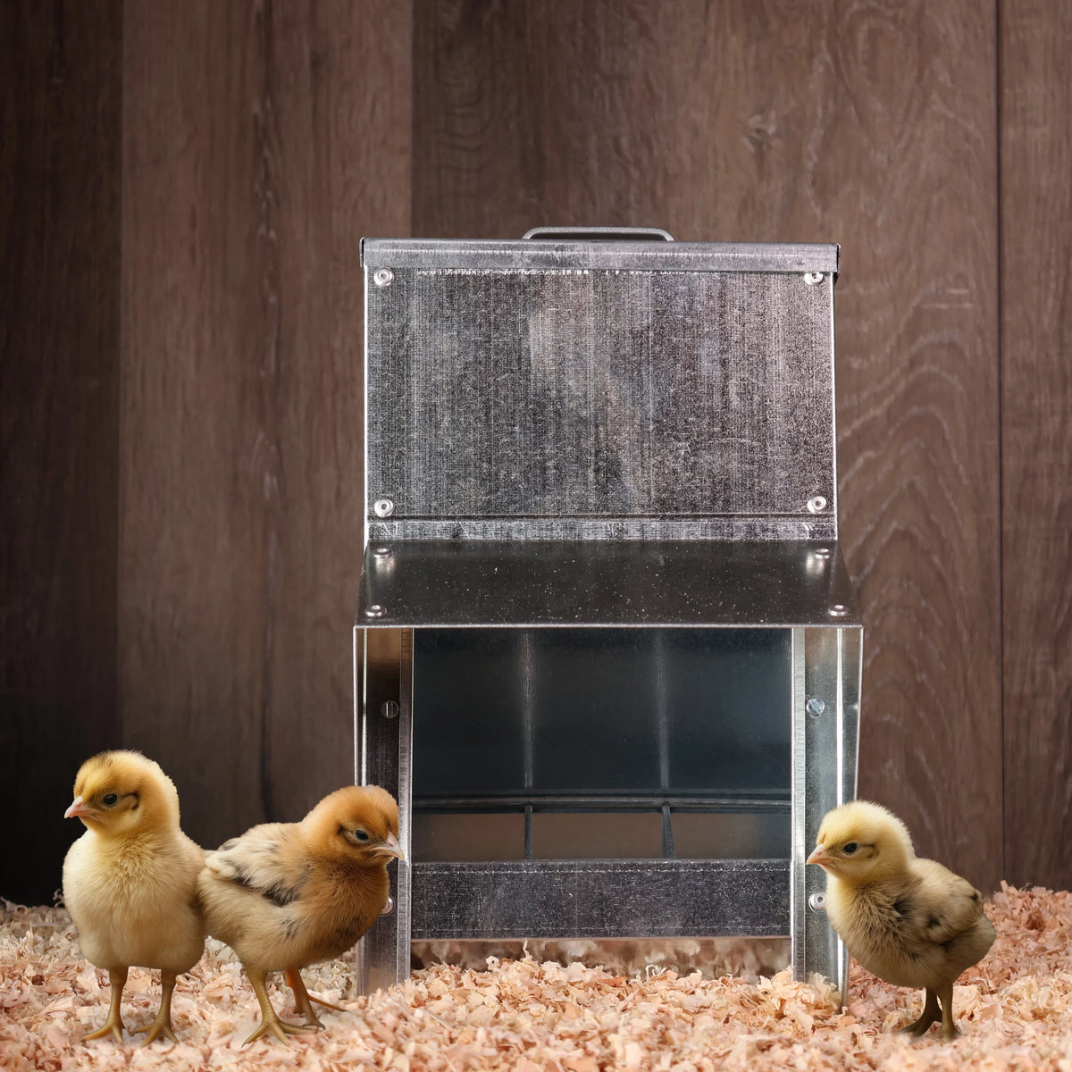 Galvanized Chicken Feeder P26971