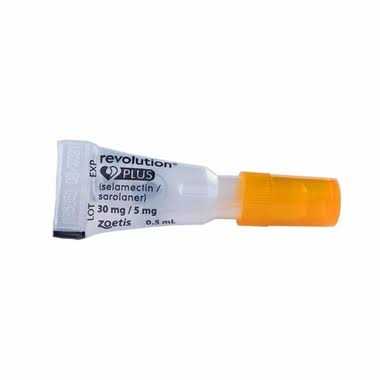 Orange for Cats 5.6 to 11 lb (1 month) O703