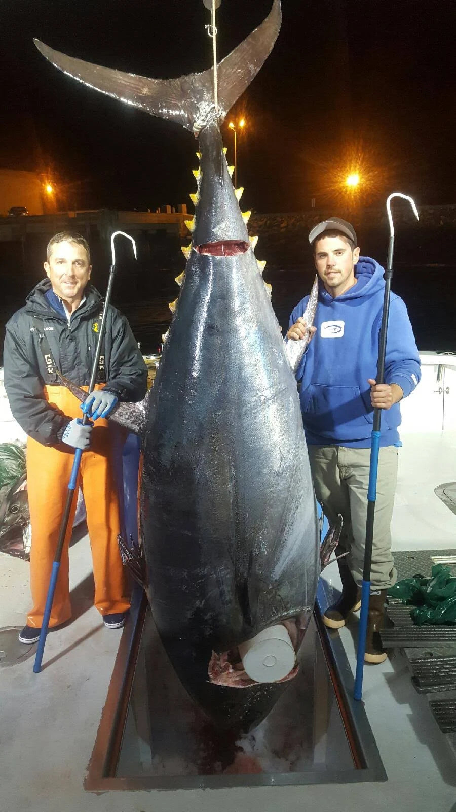 6 ft Carbon Fiber Gaff with 3x22 Hook Y57863