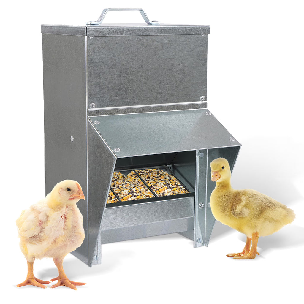 Galvanized Chicken Feeder P26971