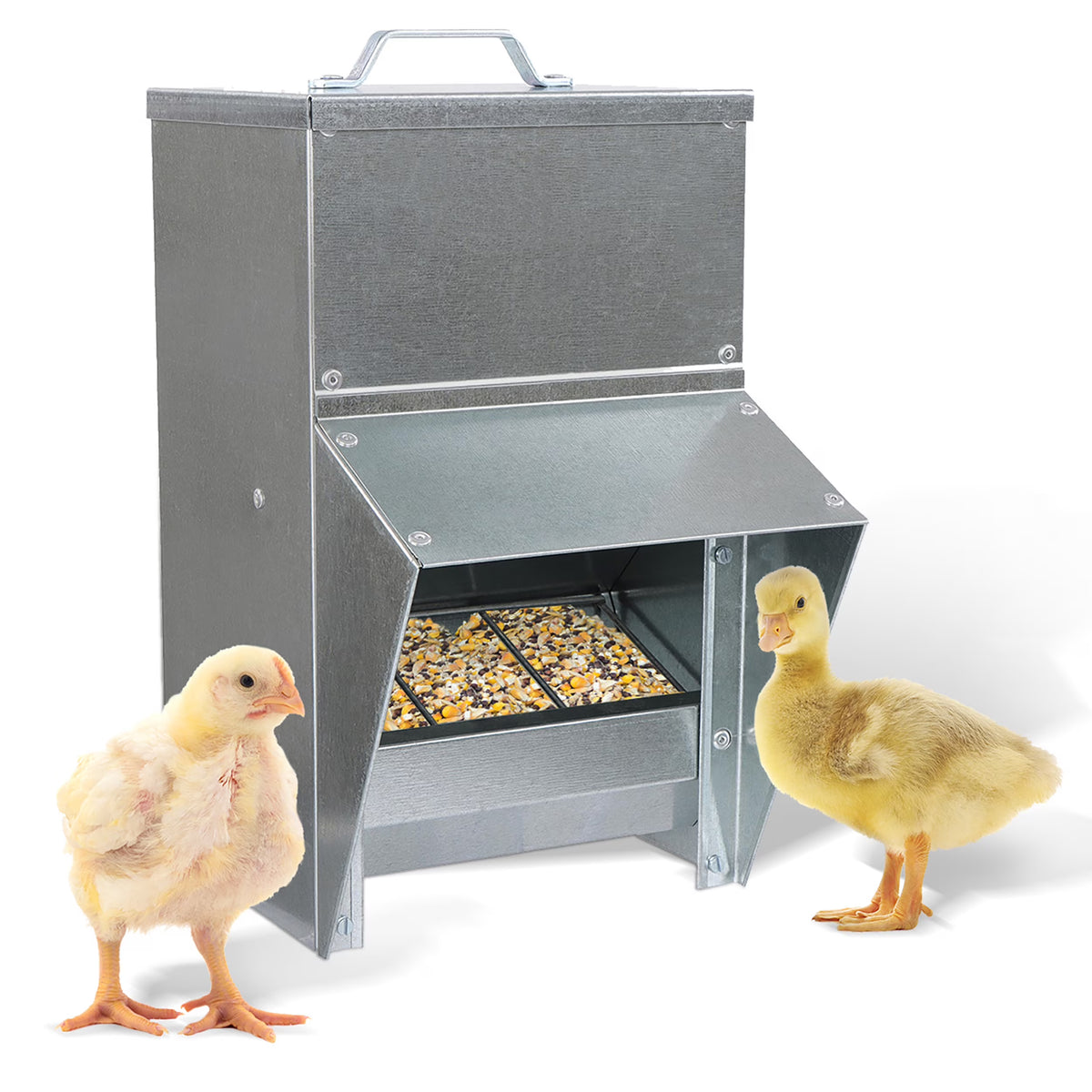 Galvanized Chicken Feeder P26971