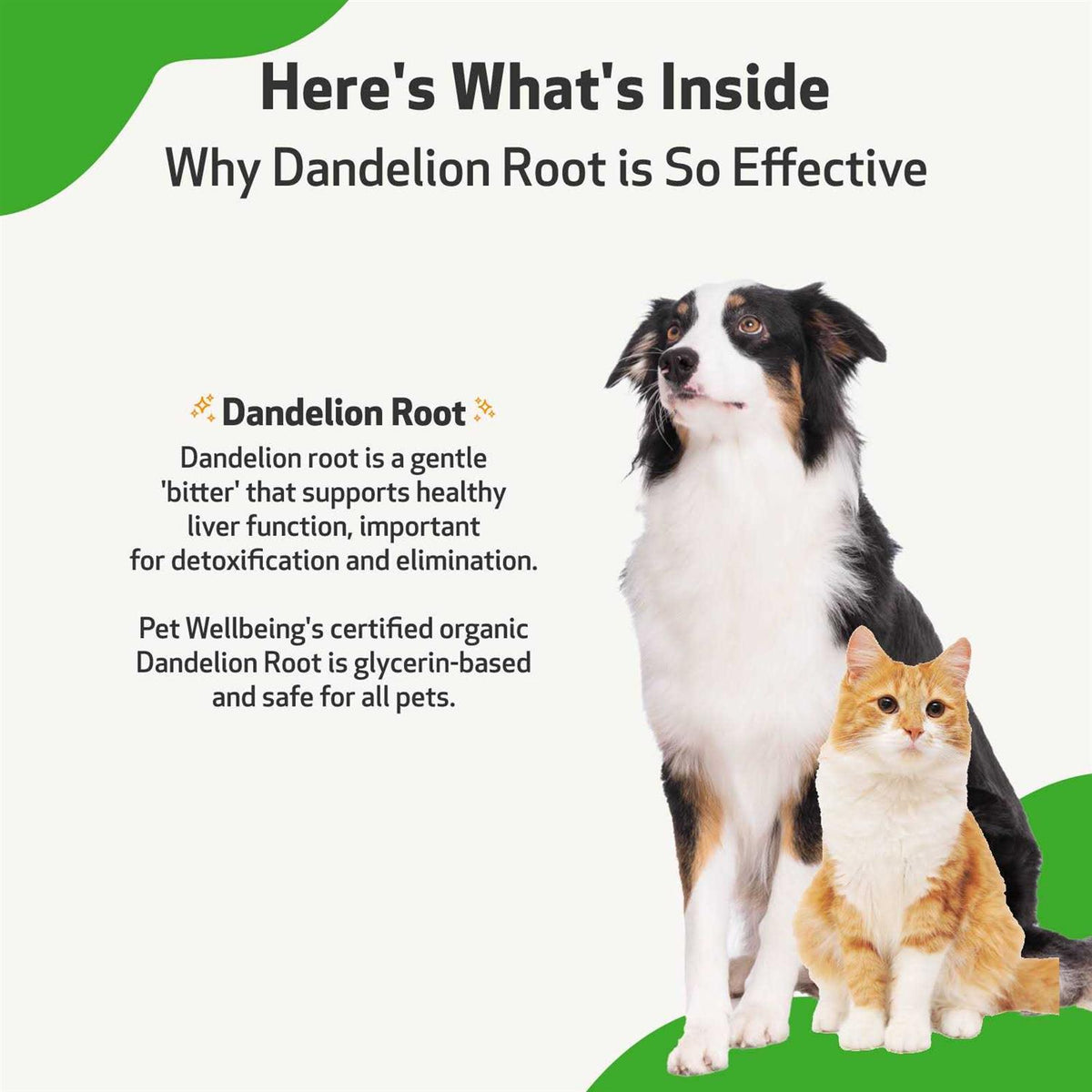Dandelion Root Bacon Flavored Liquid Digestive & Liver Supplement for Cats & Dogs A4269