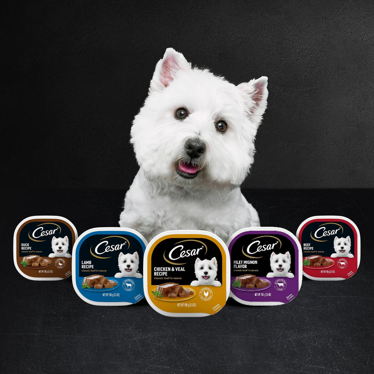 Filet Mignon & Porterhouse Steak Wet Dog Food 3.5 oz 36 ct E707