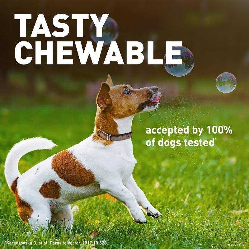Chewable Tablet for Dogs R428