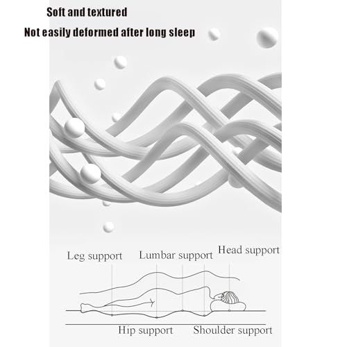 White King Foldable Floor Mattress Z186926