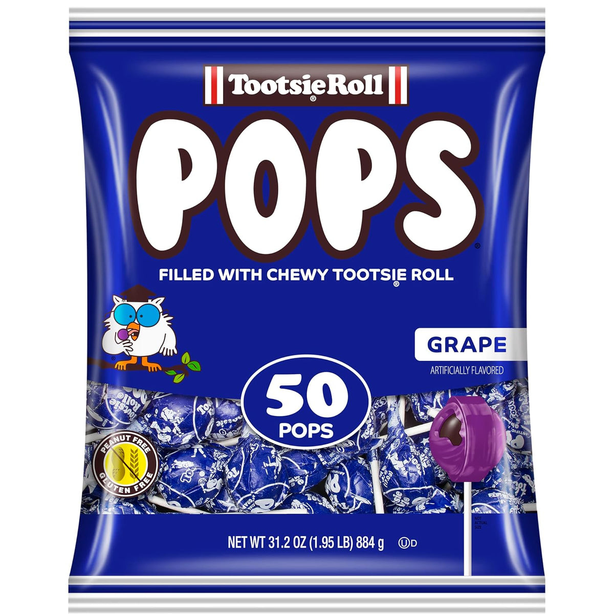 Grape Flavored Lollipops with Chocolatey Center, Individually Wrapped Hard Candy, 50 Count Z5794