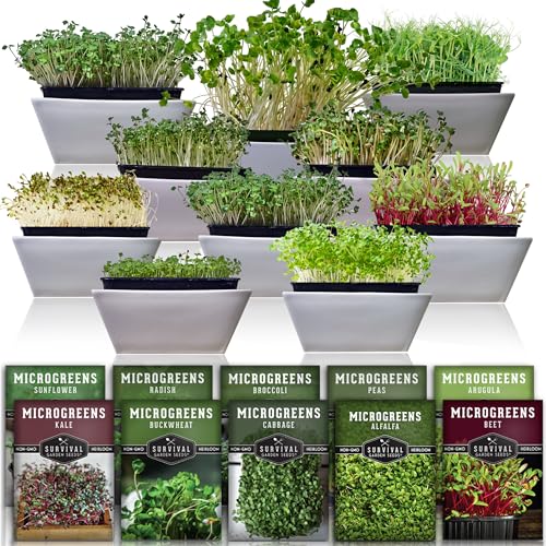 Microgreens 10 Pack Seeds E134794