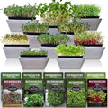 Microgreens 10 Pack Seeds E134794