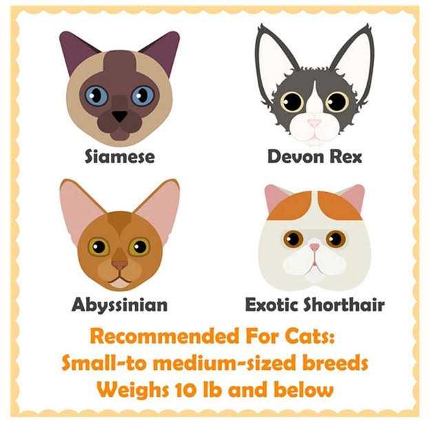 51-in Plush Multi-Cat Tree & Condo V36065