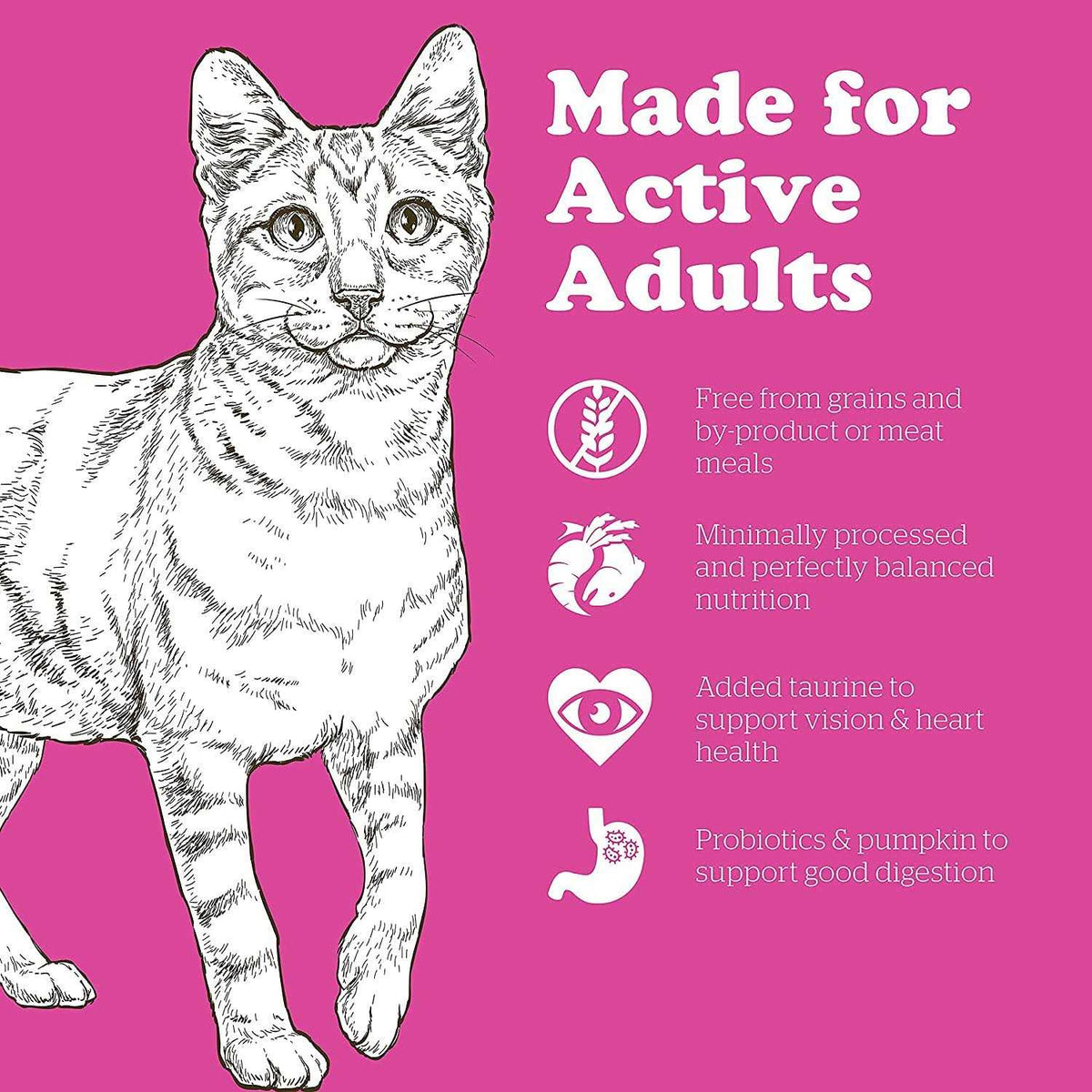 Grain-Free Adult Dry Cat Food T4963