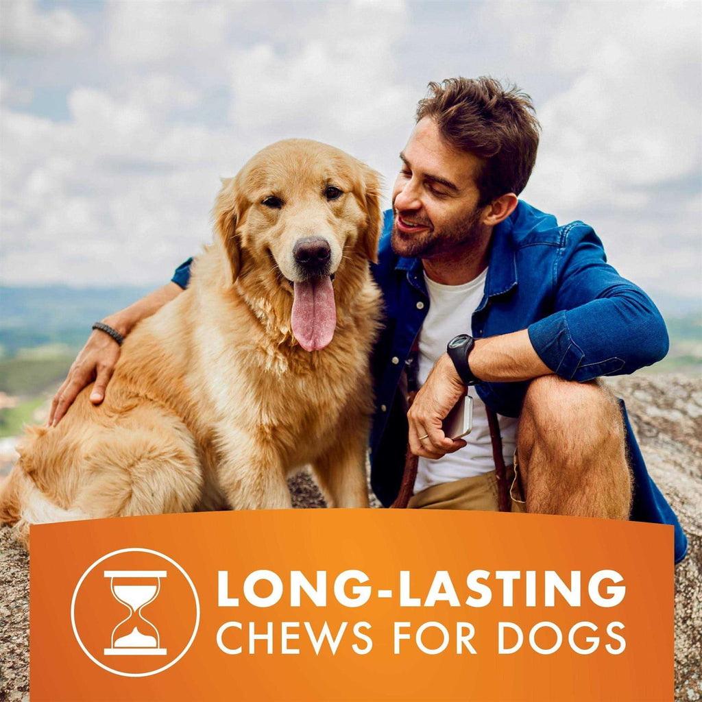 Dog Treats X11388