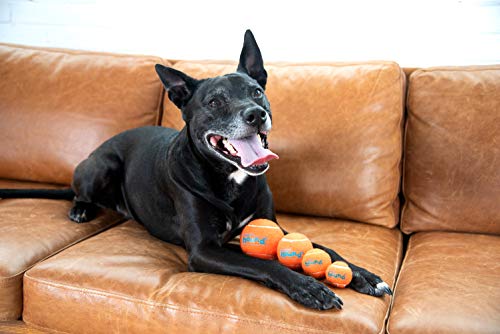 Dog Tennis Ball Launcher A250540