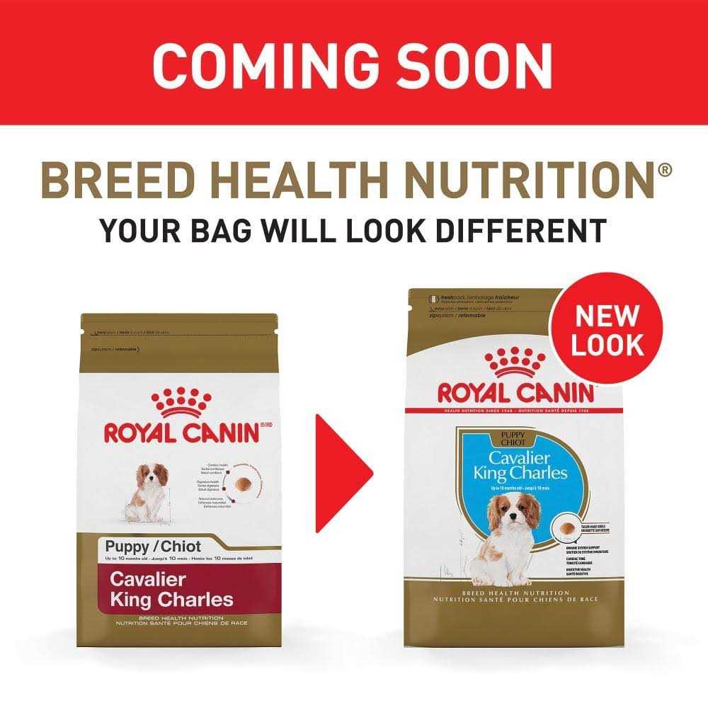 Puppy Dry Dog Food Y9896