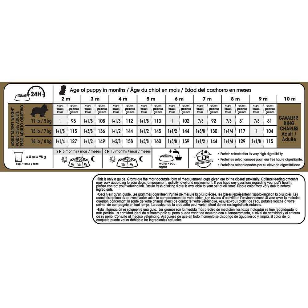 Puppy Dry Dog Food Y9896
