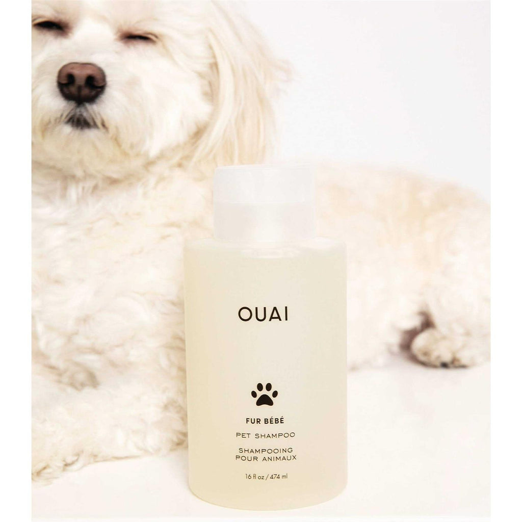 Pet Shampoo J24652