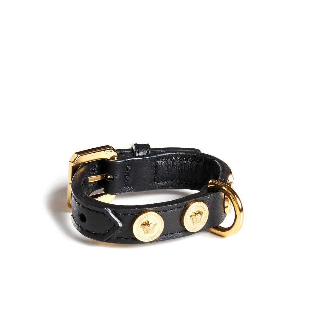 Small Pet Collar H46308