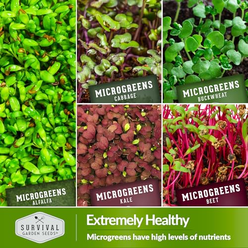 Microgreens 10 Pack Seeds E134794