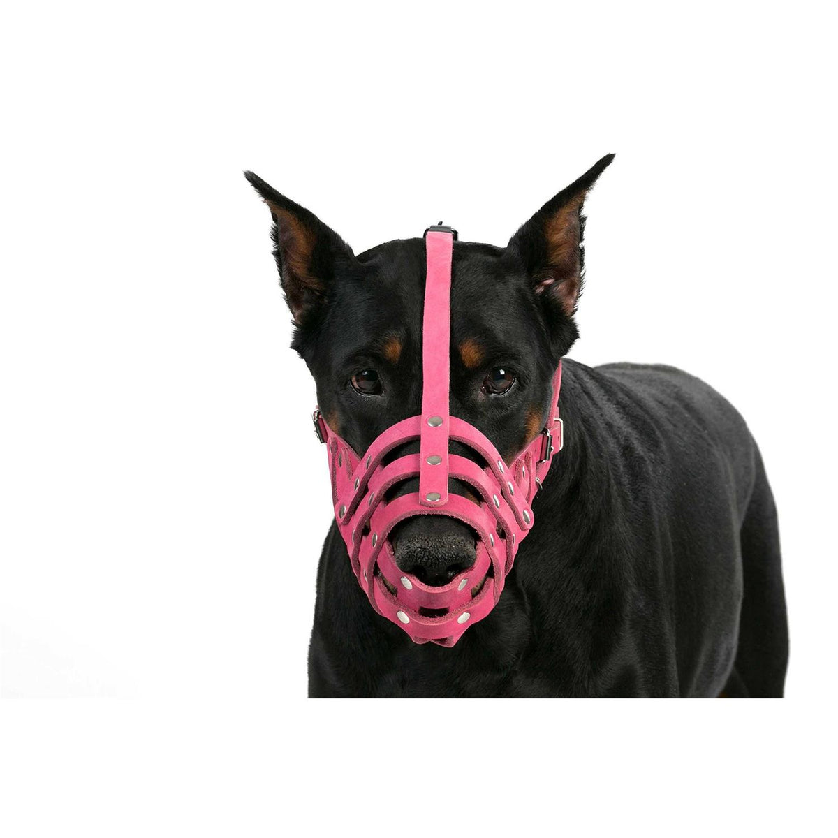 Leather Dog Muzzle Medium Large Breeds G734