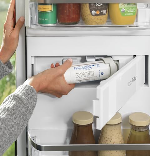 Refrigerator Water Filter, Pack of 1 F868