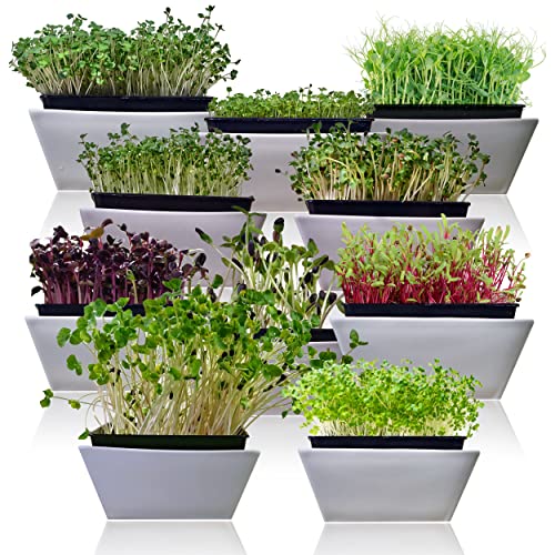 Microgreens 10 Pack Seeds E134794