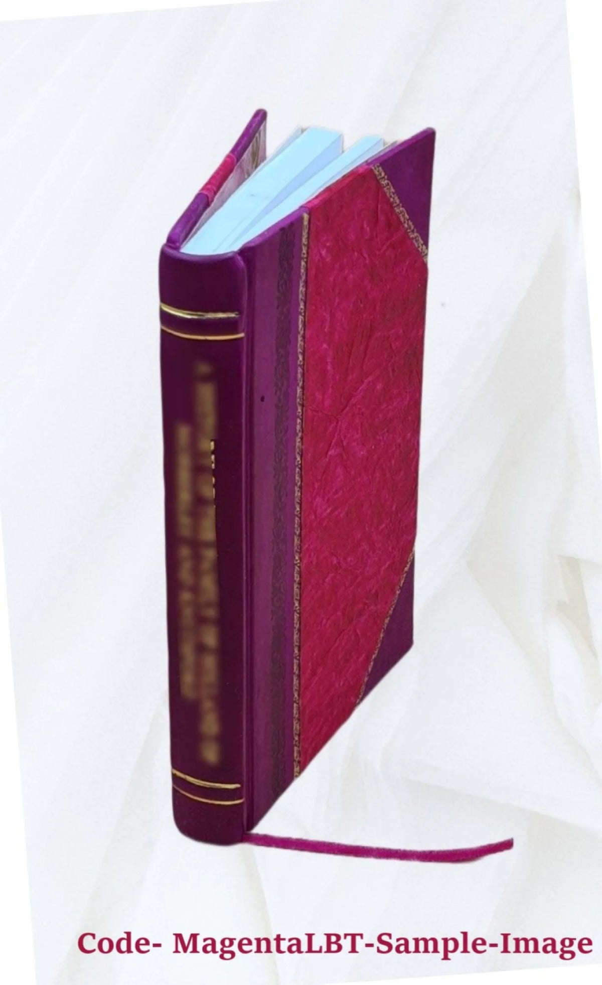Leather Bound Book V259239