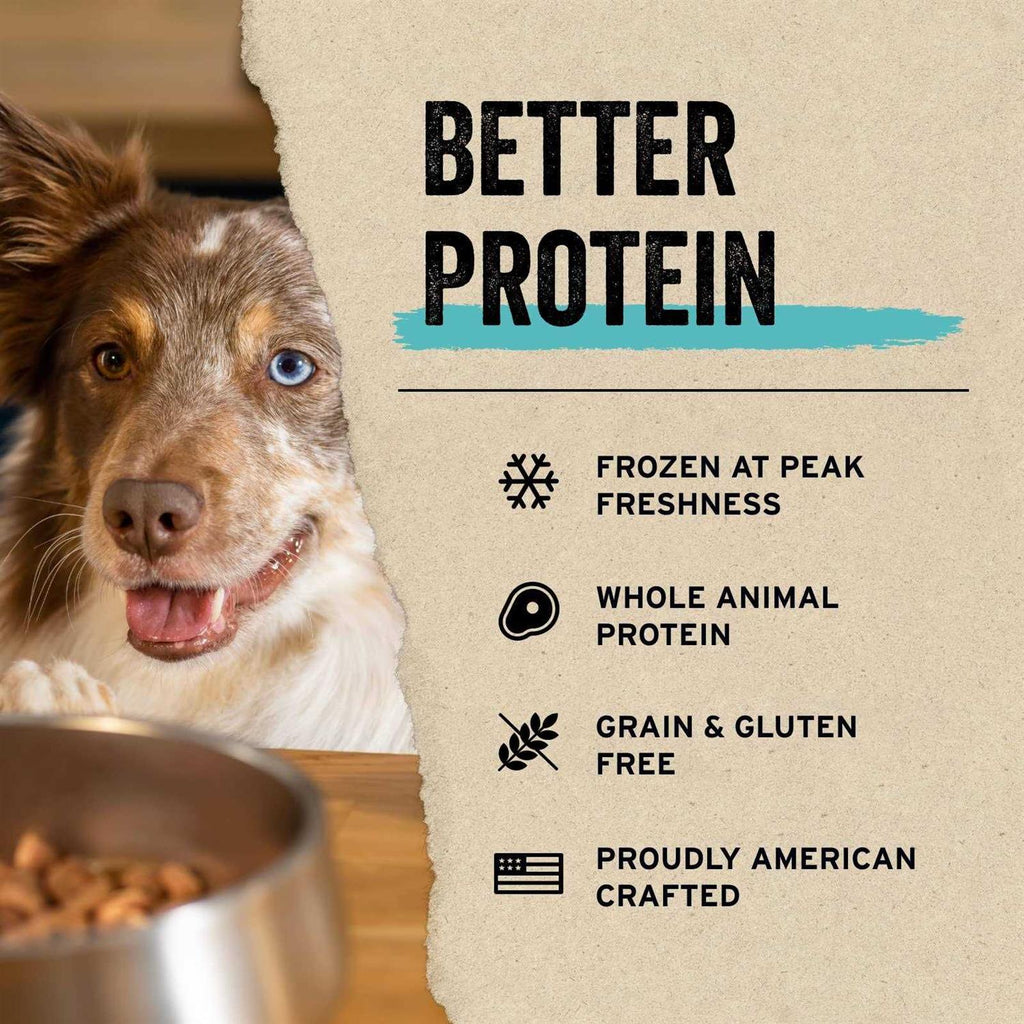 Freeze-Dried Salmon Bites Dog Treats C864341