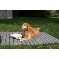 Set of 3 Pet Supplies N23657