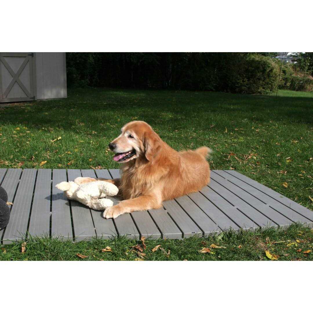 Set of 3 Pet Supplies N23657