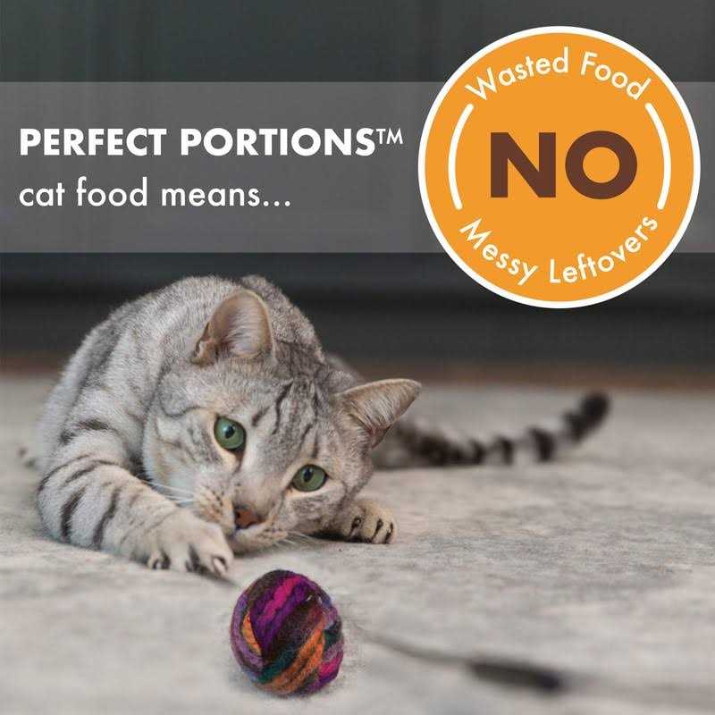 Grain Free Turkey Wet Cat Food Z54645