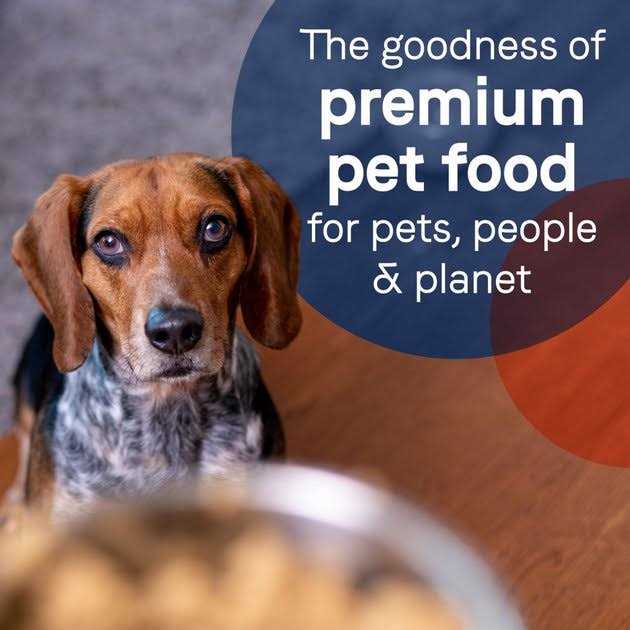 Grain-Free Salmon & Sweet Potato Canned Dog Food M67545