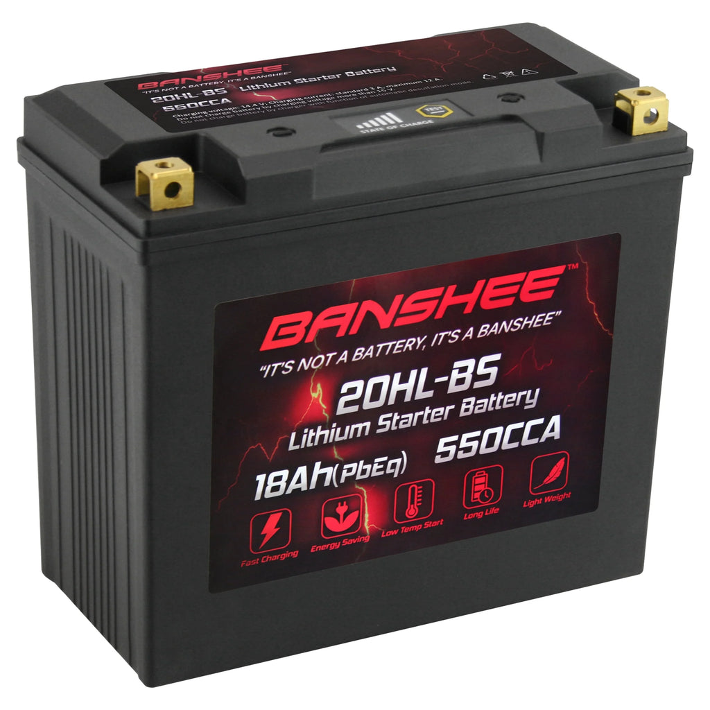 12V 18Ah 550CCA LiFePO4 Lithium Motorcycle Battery Y390853
