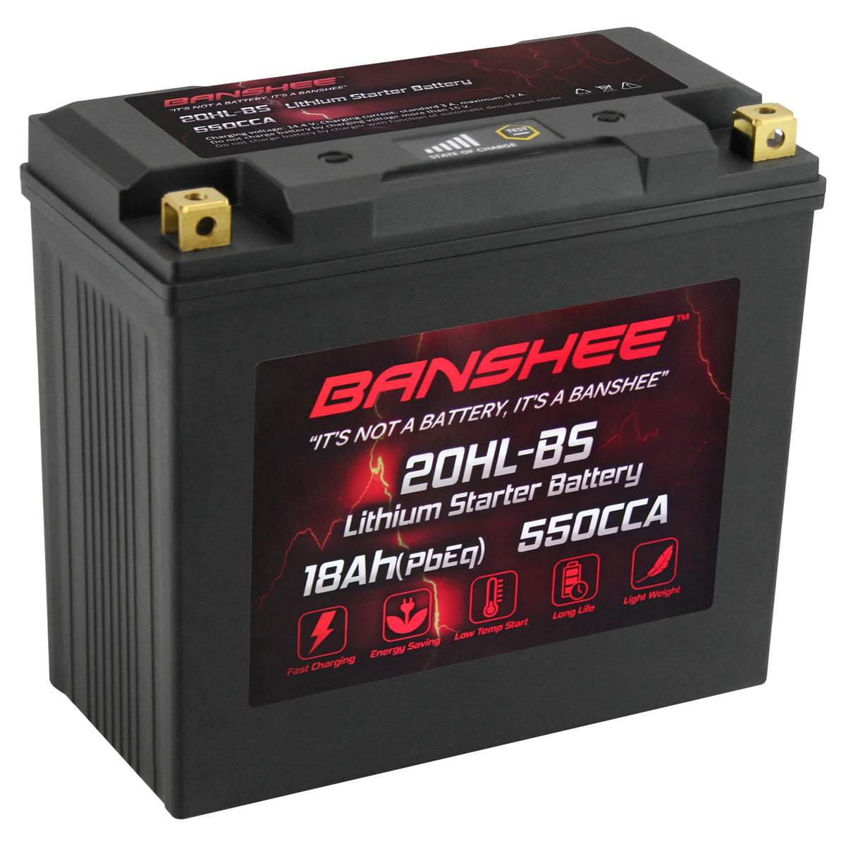 12V 18Ah 550CCA LiFePO4 Lithium Motorcycle Battery Y390853